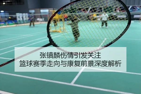 张镇麟伤情引发关注 篮球赛季走向与康复前景深度解析
